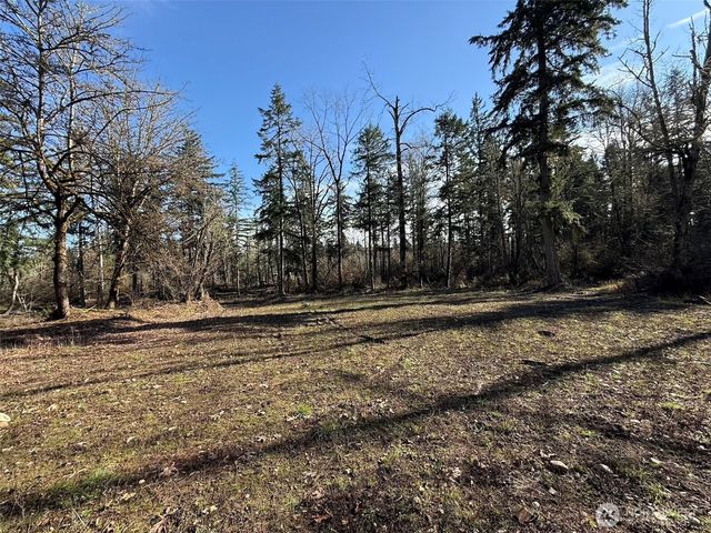 33507 84th Avenue E, Eatonville, WA 98328