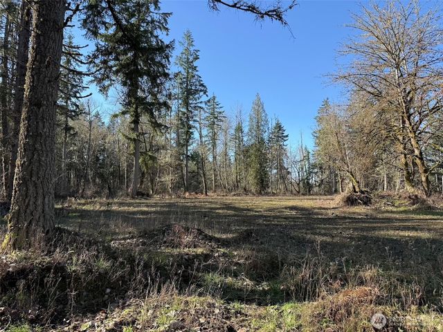 33507 84th Avenue E, Eatonville, WA 98328