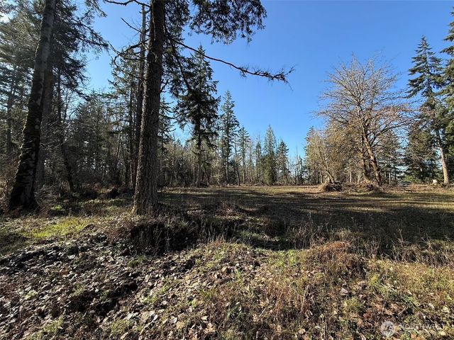 33507 84th Avenue E, Eatonville, WA 98328