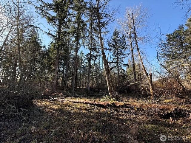 33507 84th Avenue E, Eatonville, WA 98328