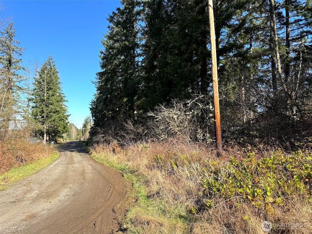 33507 84th Avenue E, Eatonville, WA 98328