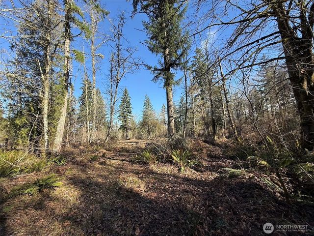 33507 84th Avenue E, Eatonville, WA 98328