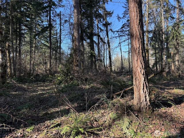 33507 84th Avenue E, Eatonville, WA 98328