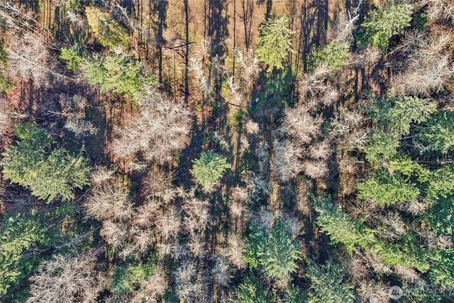 33507 84th Avenue E, Eatonville, WA 98328