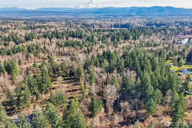 33507 84th Avenue E, Eatonville, WA 98328