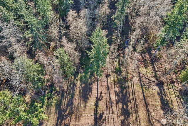 33507 84th Avenue E, Eatonville, WA 98328