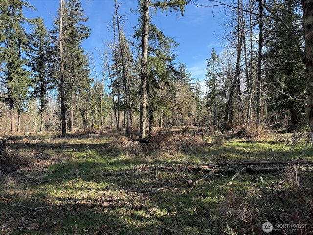 33507 84th Avenue E, Eatonville, WA 98328