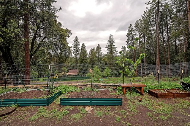 14882 Old Emigrant Rd, Pioneer, CA 95666