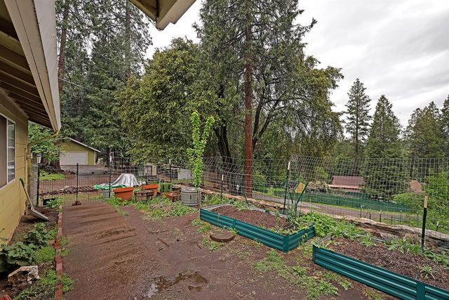 14882 Old Emigrant Rd, Pioneer, CA 95666