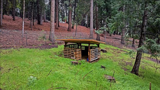 14882 Old Emigrant Rd, Pioneer, CA 95666