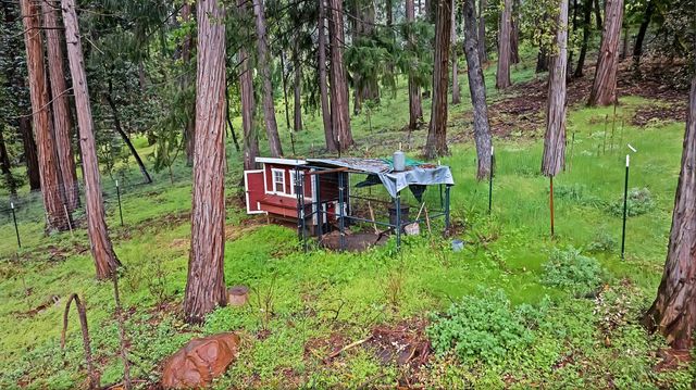 14882 Old Emigrant Rd, Pioneer, CA 95666