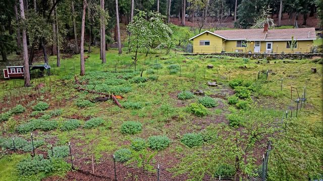 14882 Old Emigrant Rd, Pioneer, CA 95666