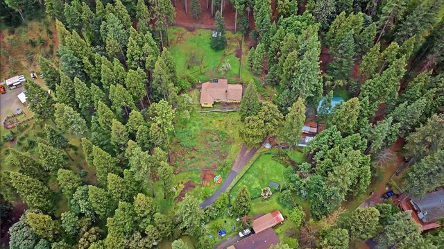 14882 Old Emigrant Rd, Pioneer, CA 95666