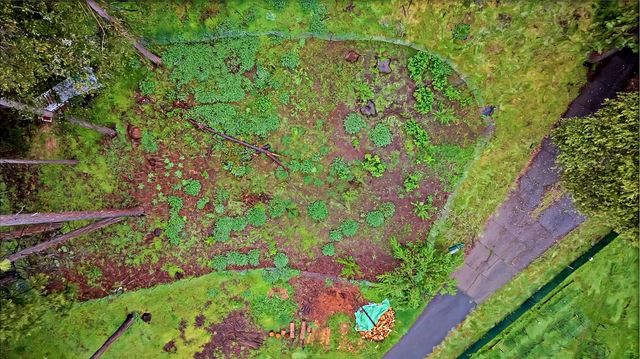 14882 Old Emigrant Rd, Pioneer, CA 95666