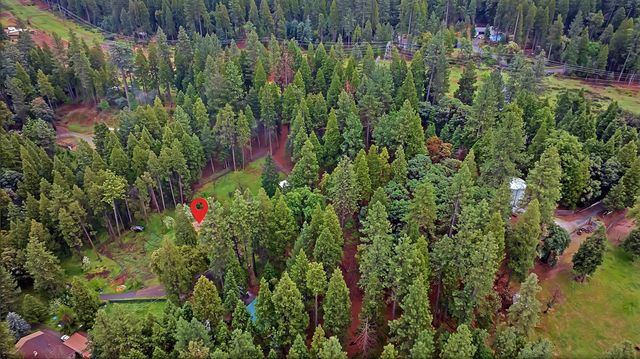 14882 Old Emigrant Rd, Pioneer, CA 95666