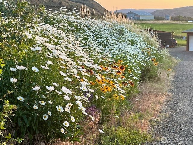 520 Blazing Sky Lane, Ellensburg, WA 98926