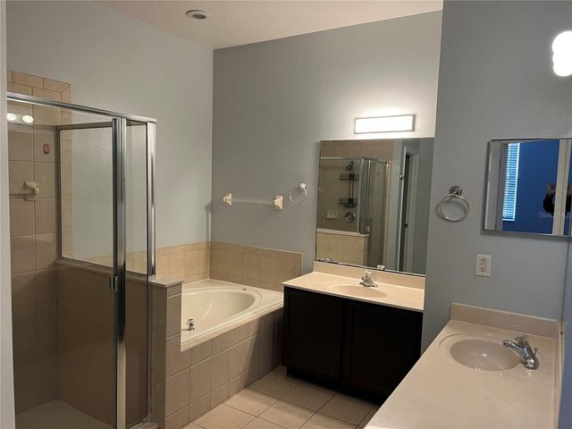 10073 SAVANNAH BLUFF LANE, Orlando, FL 32829