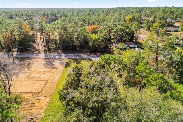 9505 N Cortlandt Drive, Citrus Springs, FL 34434