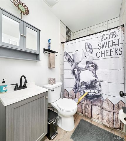 4132 Miami Street, St Louis, MO 63116