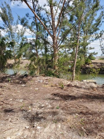 3905 NE 9TH Avenue, Cape Coral, FL 33909