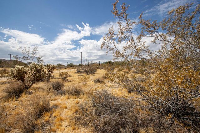 205 Division Street, Joshua Tree, CA 92252