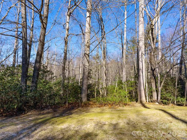 000 Chattooga Run 306, Hendersonville, NC 28739