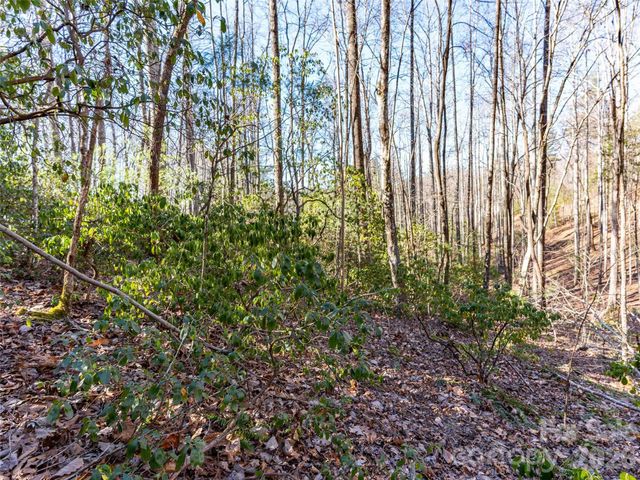 000 Chattooga Run 306, Hendersonville, NC 28739