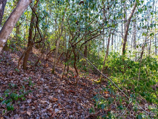 000 Chattooga Run 306, Hendersonville, NC 28739