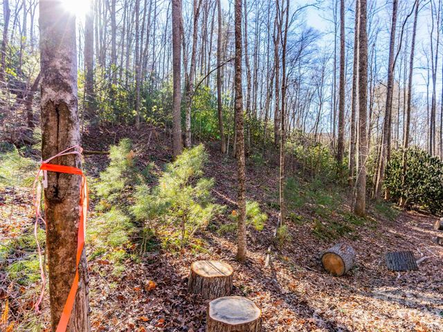 000 Chattooga Run 306, Hendersonville, NC 28739