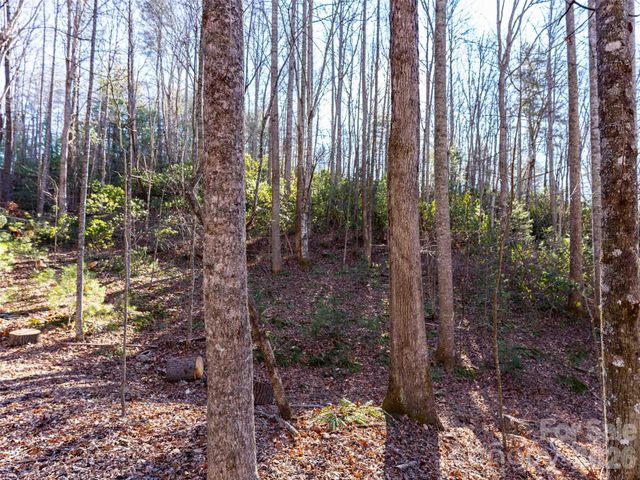 000 Chattooga Run 306, Hendersonville, NC 28739
