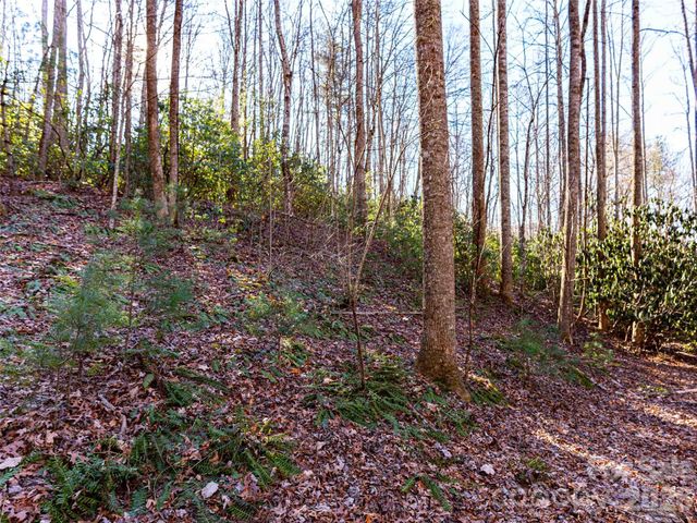 000 Chattooga Run 306, Hendersonville, NC 28739