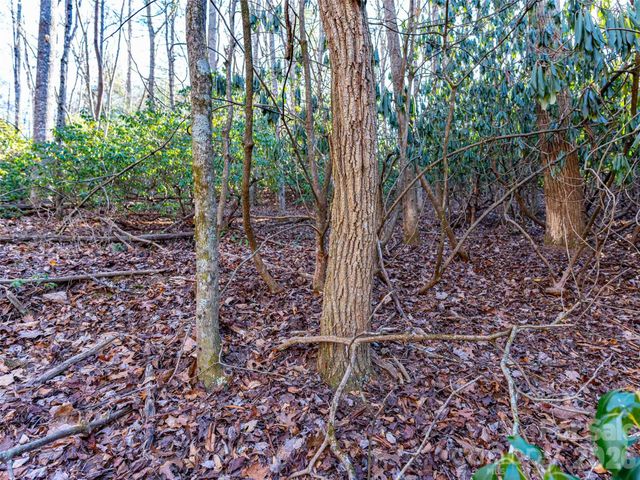 000 Chattooga Run 306, Hendersonville, NC 28739