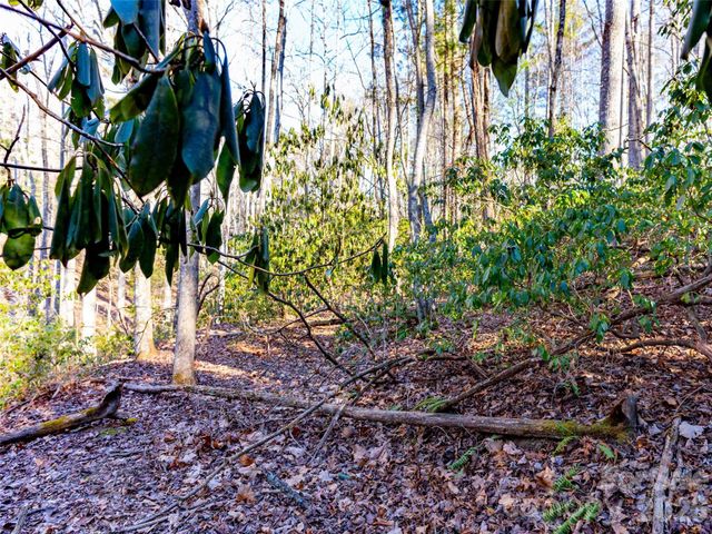 000 Chattooga Run 306, Hendersonville, NC 28739