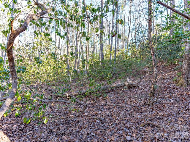 000 Chattooga Run 306, Hendersonville, NC 28739