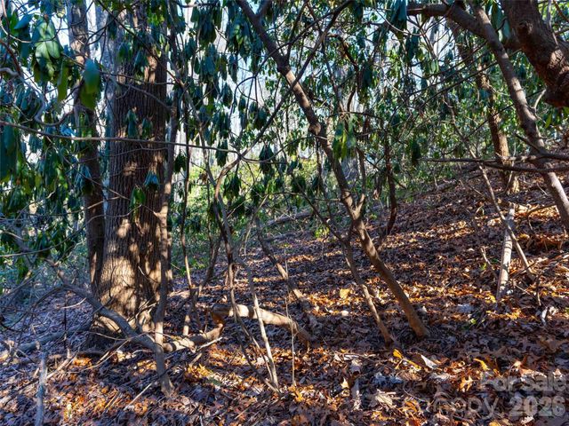 000 Chattooga Run 306, Hendersonville, NC 28739