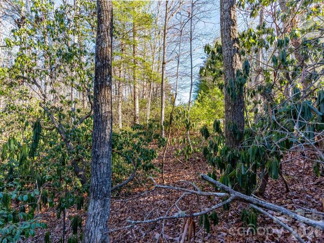 000 Chattooga Run 306, Hendersonville, NC 28739