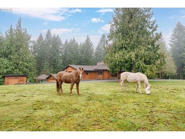51720 Nw HAYWARD Rd, Manning, OR 97125