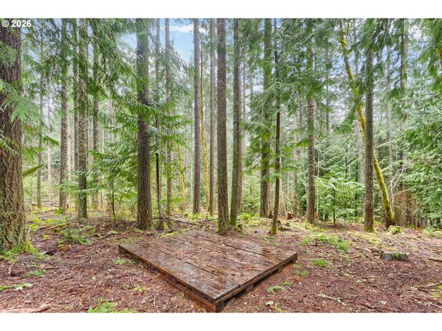 51720 Nw HAYWARD Rd, Manning, OR 97125