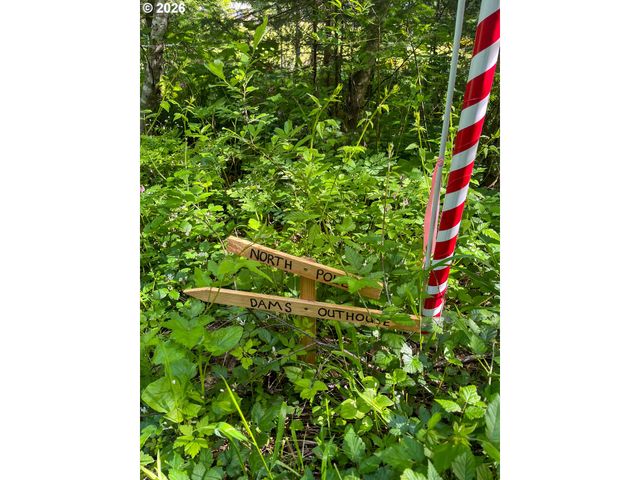 51720 Nw HAYWARD Rd, Manning, OR 97125