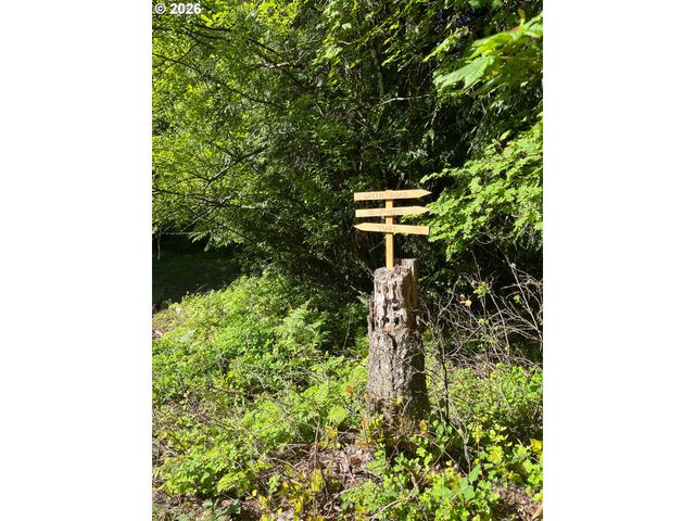 51720 Nw HAYWARD Rd, Manning, OR 97125