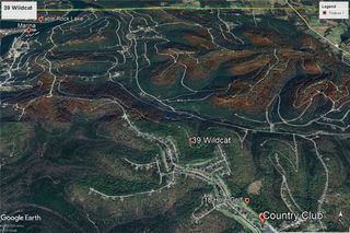 39 Wildcat Lane, Holiday Island, AR 72631