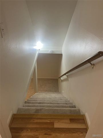 10843 Carroll Wood Way, Unincorporated, MO 63128