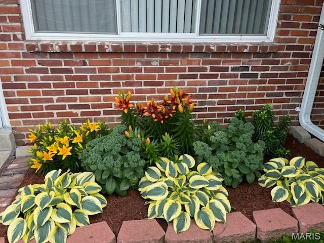 10843 Carroll Wood Way, Unincorporated, MO 63128