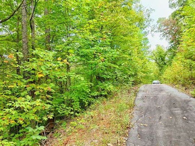 Lot 28 Skyview Drive, Hayesville, NC 28904