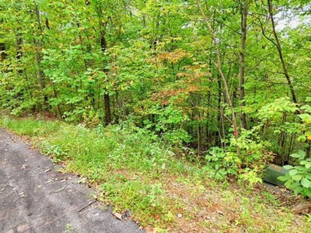 Lot 28 Skyview Drive, Hayesville, NC 28904