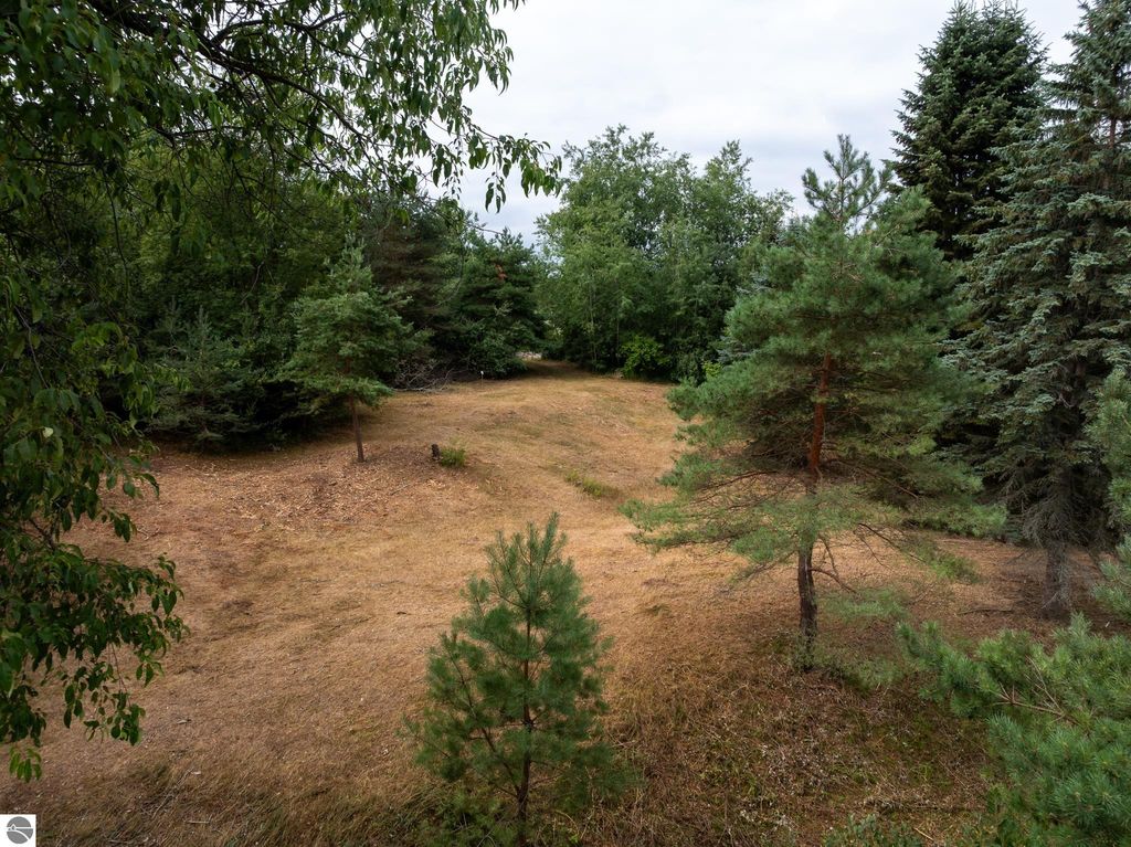 Image 37 of property listing at 1009 Cantabrian Drive, Weidman, MI 48893