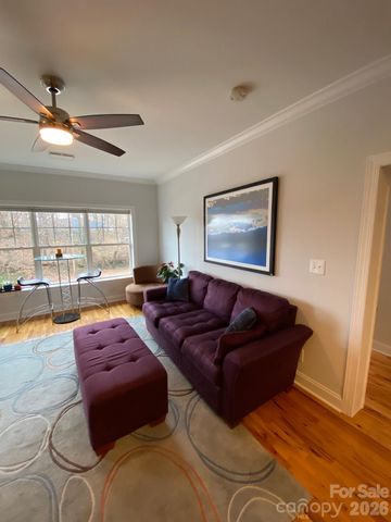175 S Lexington Avenue 303, Asheville, NC 28801