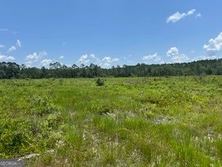 87.21 AC Bay Branch Church Road, Claxton, GA 30417