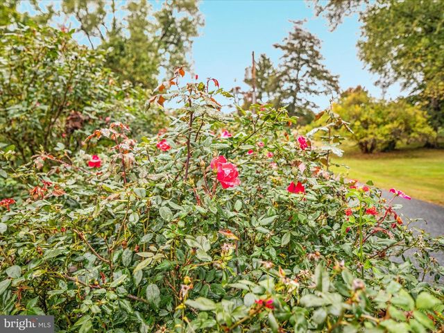 517 W LOCUST ST, Woodstock, VA 22664