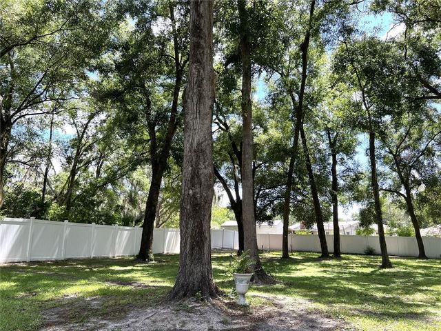 36320 PINEY RIDGE BOULEVARD, Fruitland Park, FL 34731